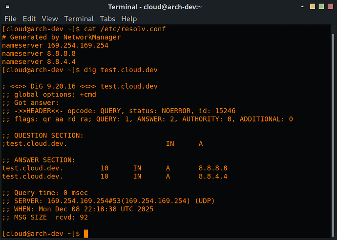 cloud_internal_dns_query