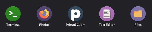 client_numix_circle