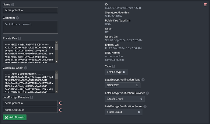 zero_dns_txt_certificate